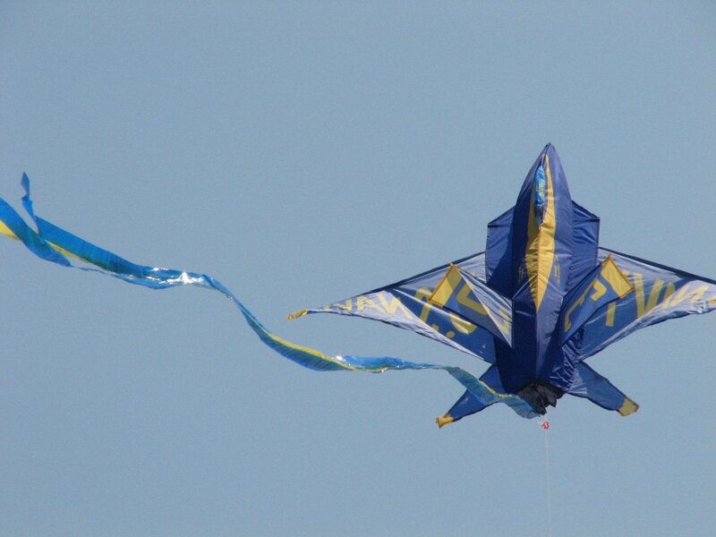 Blue and yellow kite in the sky