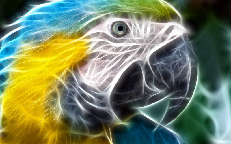 Blue-and-yellow Macaw — Blue, Vibrant, Digital Art, Eye