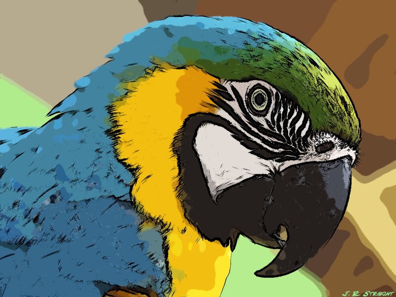Blue-and-yellow Macaw — Blue, Vibrant, Digital Art