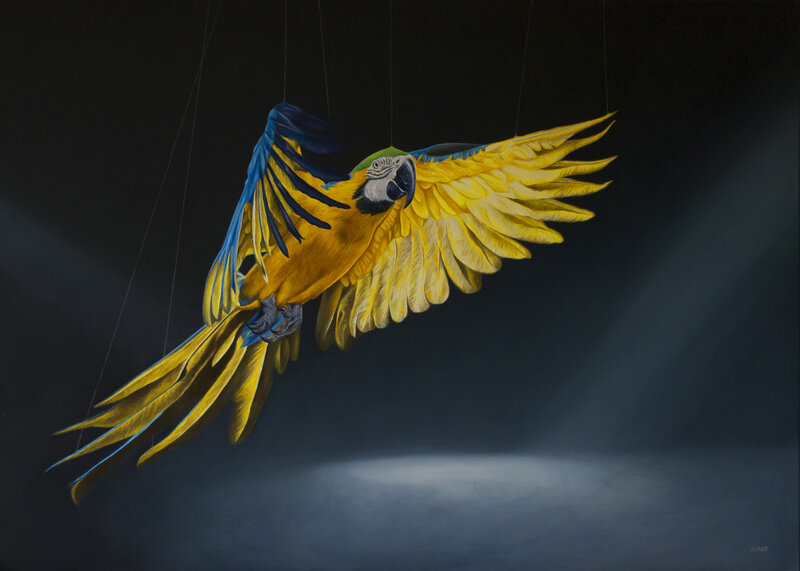 Blue-and-yellow Macaw — Yellow, Dramatic