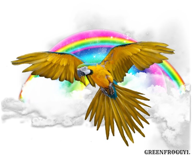 Blue-and-yellow Macaw — Yellow, Fantastical