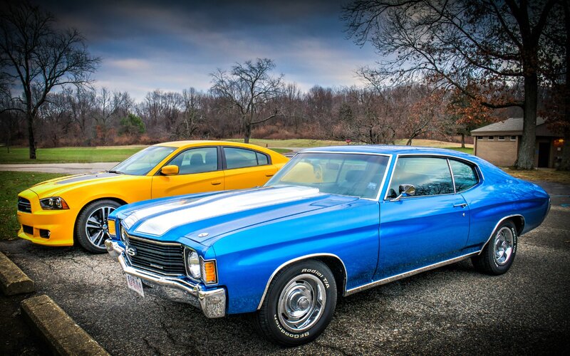 Blue and Yellow Muscle Cars
