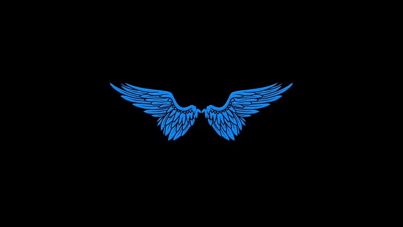 Blue Angel Wings — Minimalist