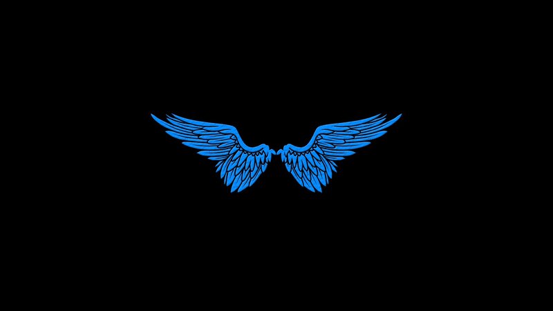blue angel wings on black
