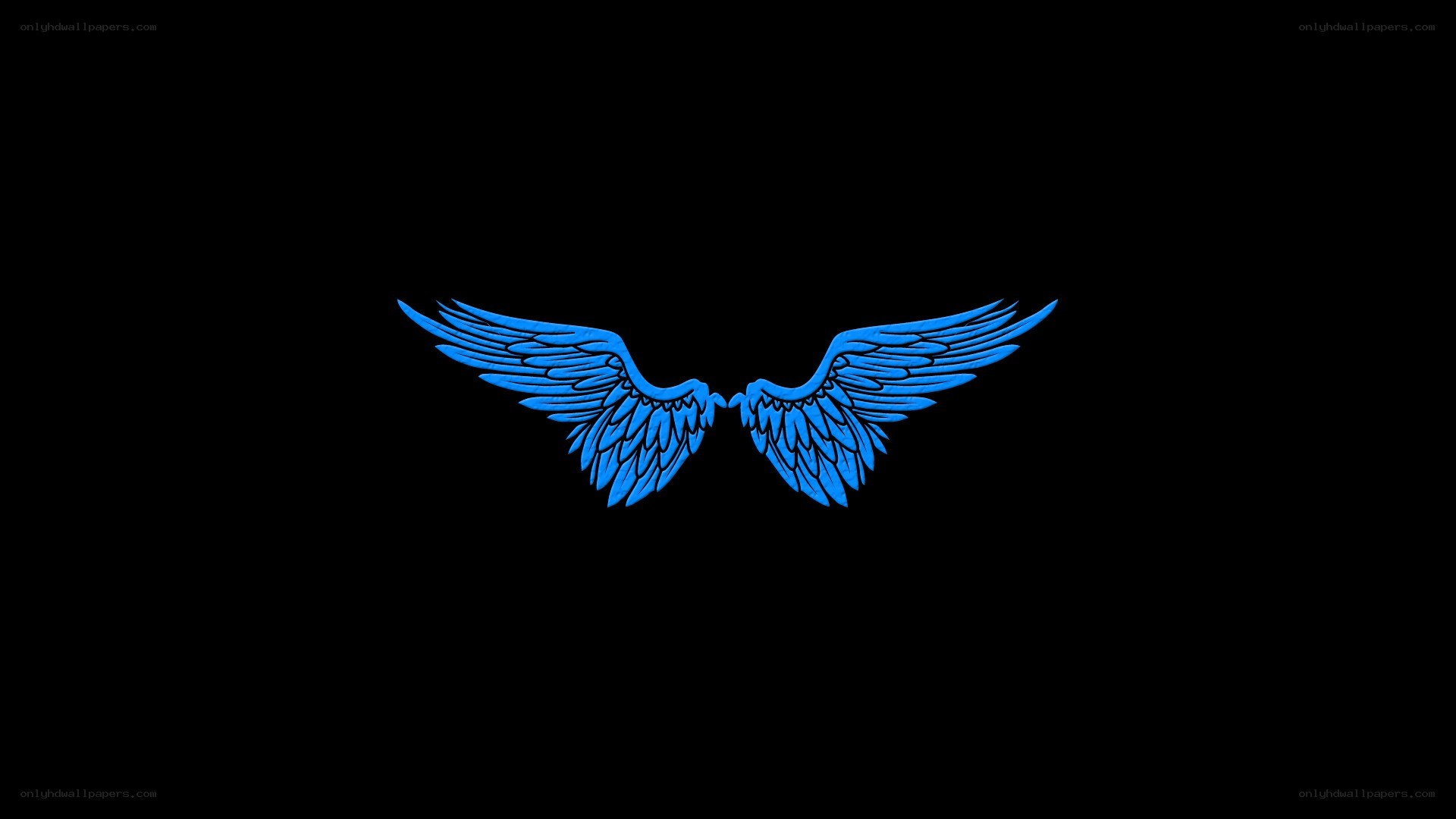 blue angel wings on black