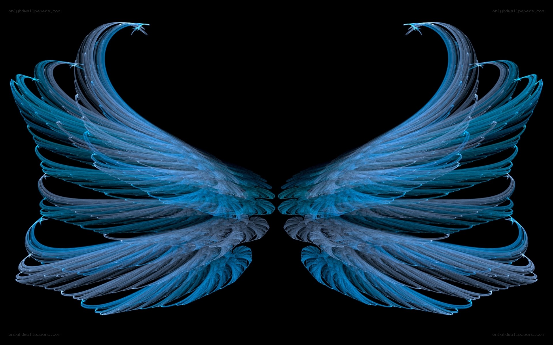Blue angel wings