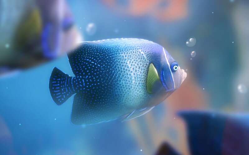 Blue Angelfish Swimming — Serene, 3d Render