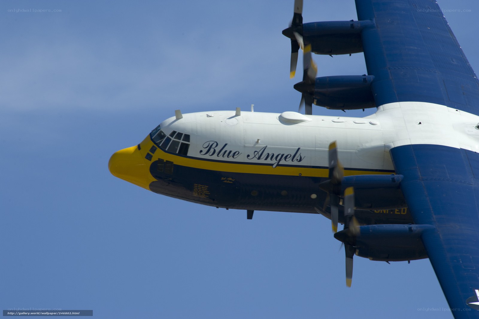 Blue Angels aircraft in flight