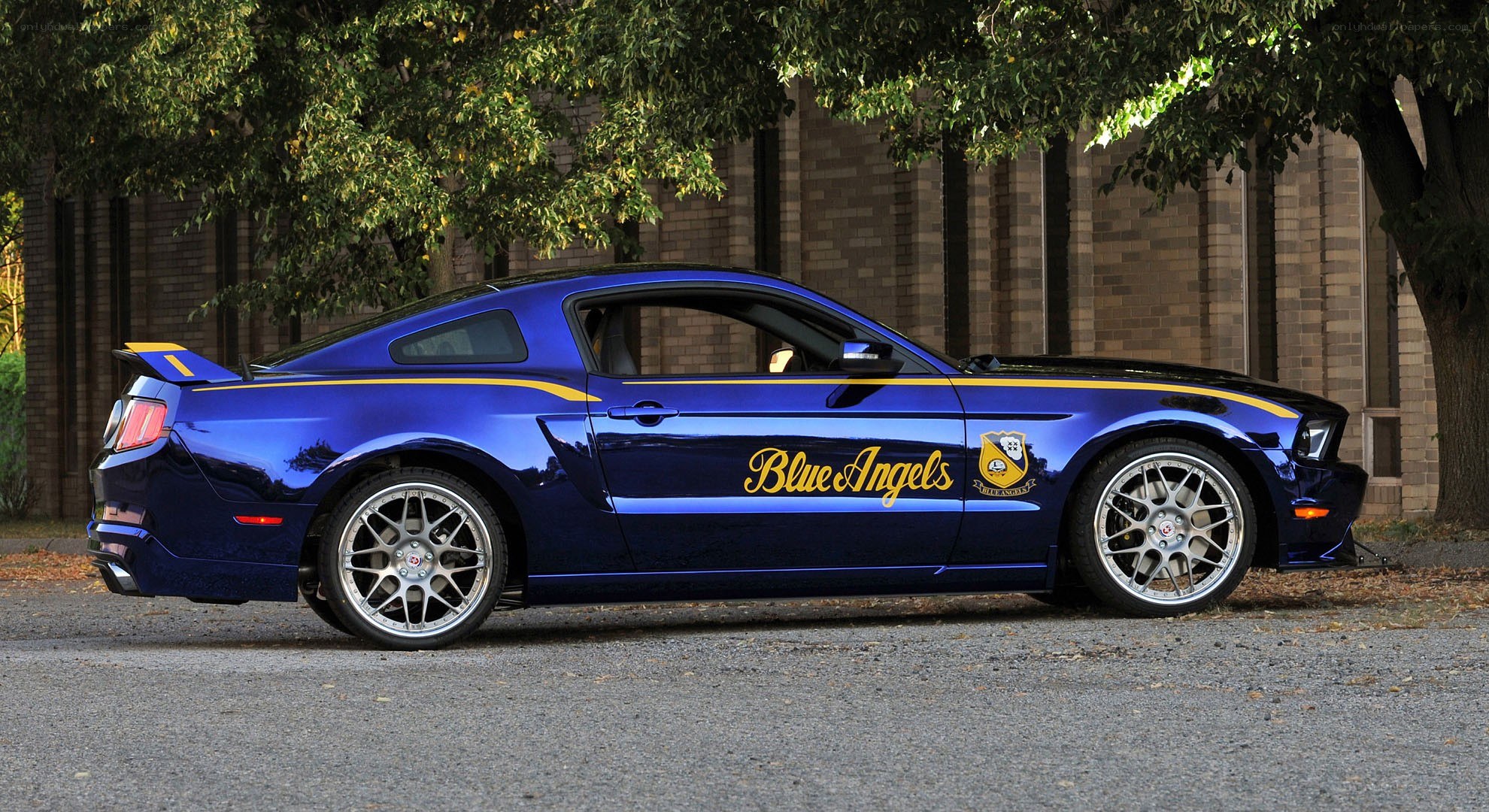 Blue Angels Ford Mustang