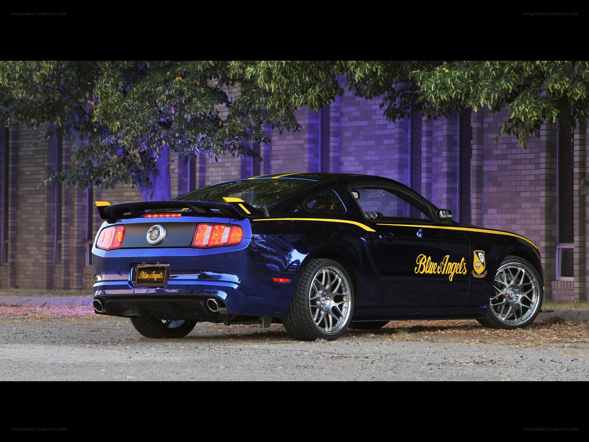Blue Angels Ford Mustang