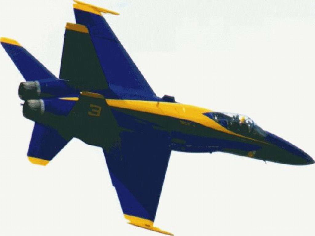 Blue Angels jet in flight