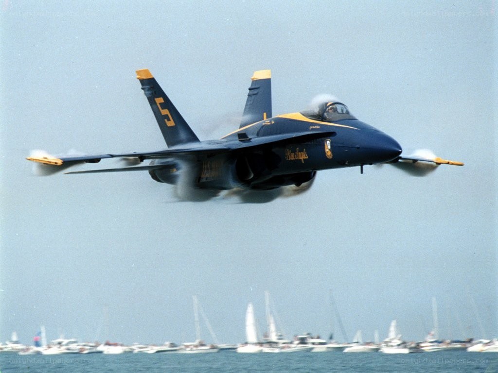 Blue Angels jet in flight