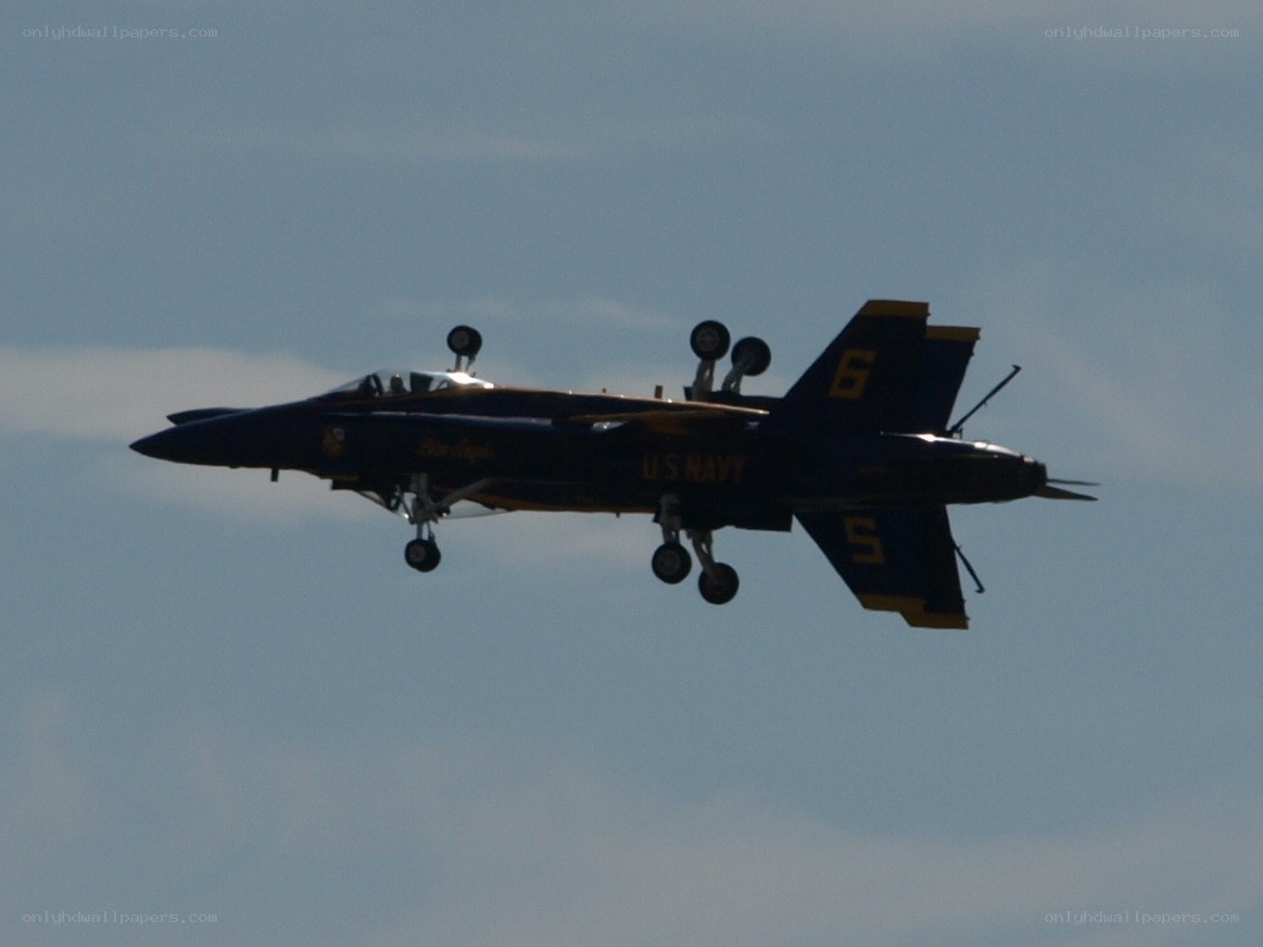 Blue Angels jet in flight