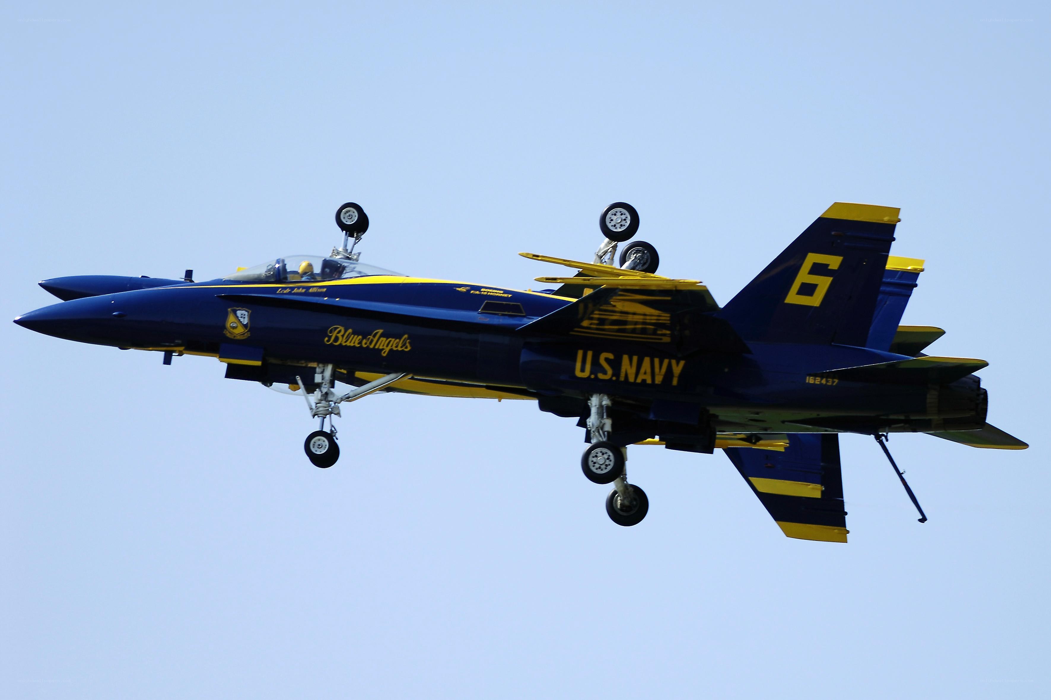 Blue Angels jet in flight
