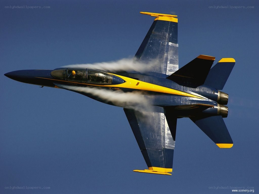 Blue Angels jet in flight