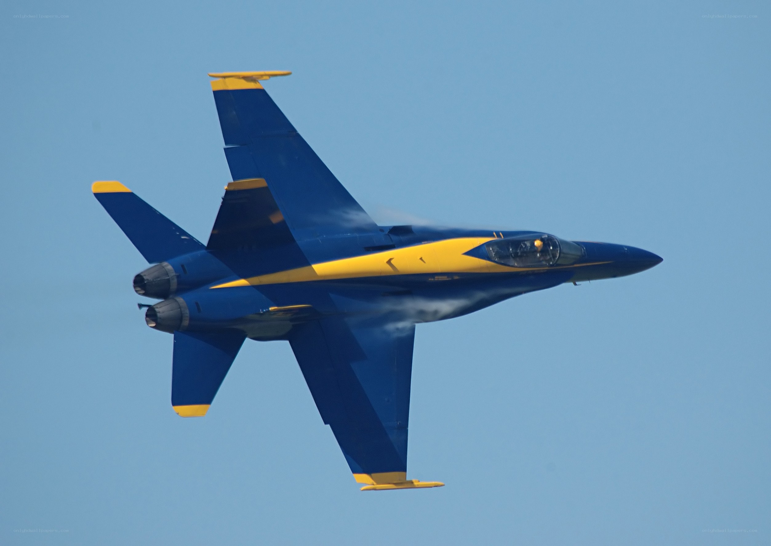Blue Angels jet in flight