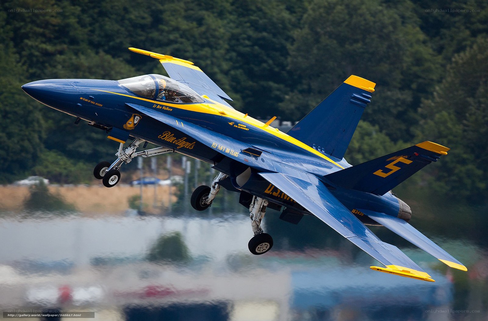 Blue Angels jet in flight