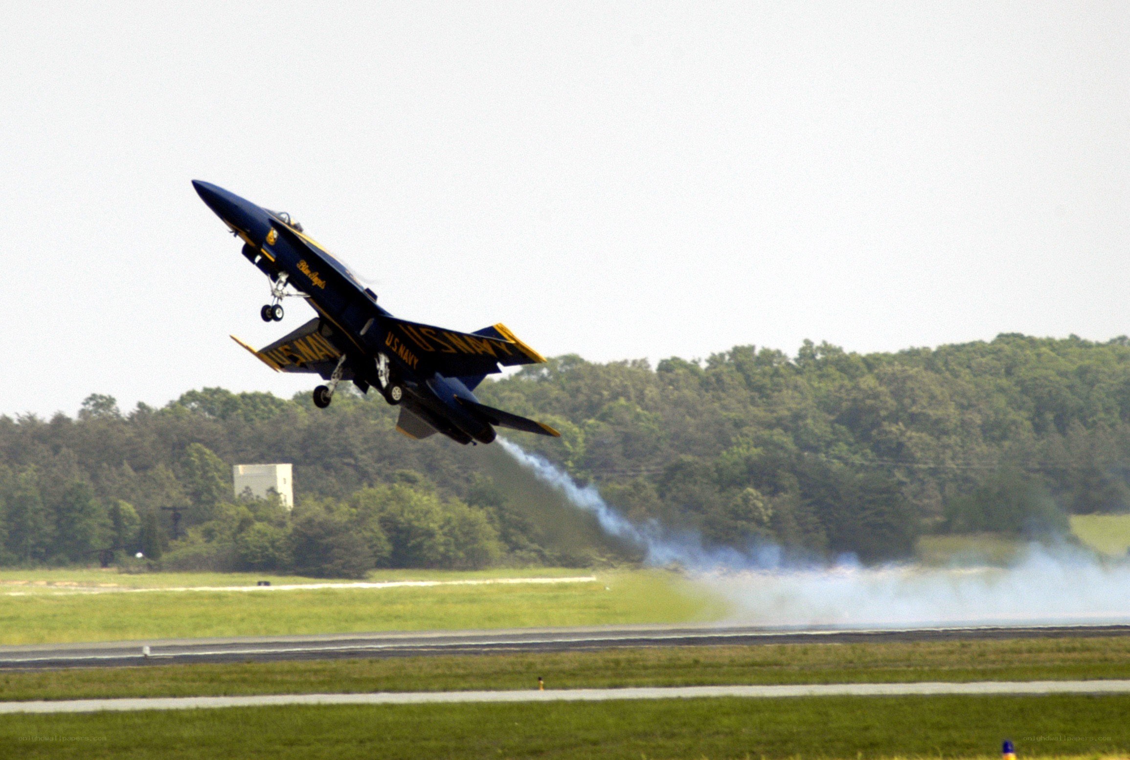 Blue Angels jet taking off