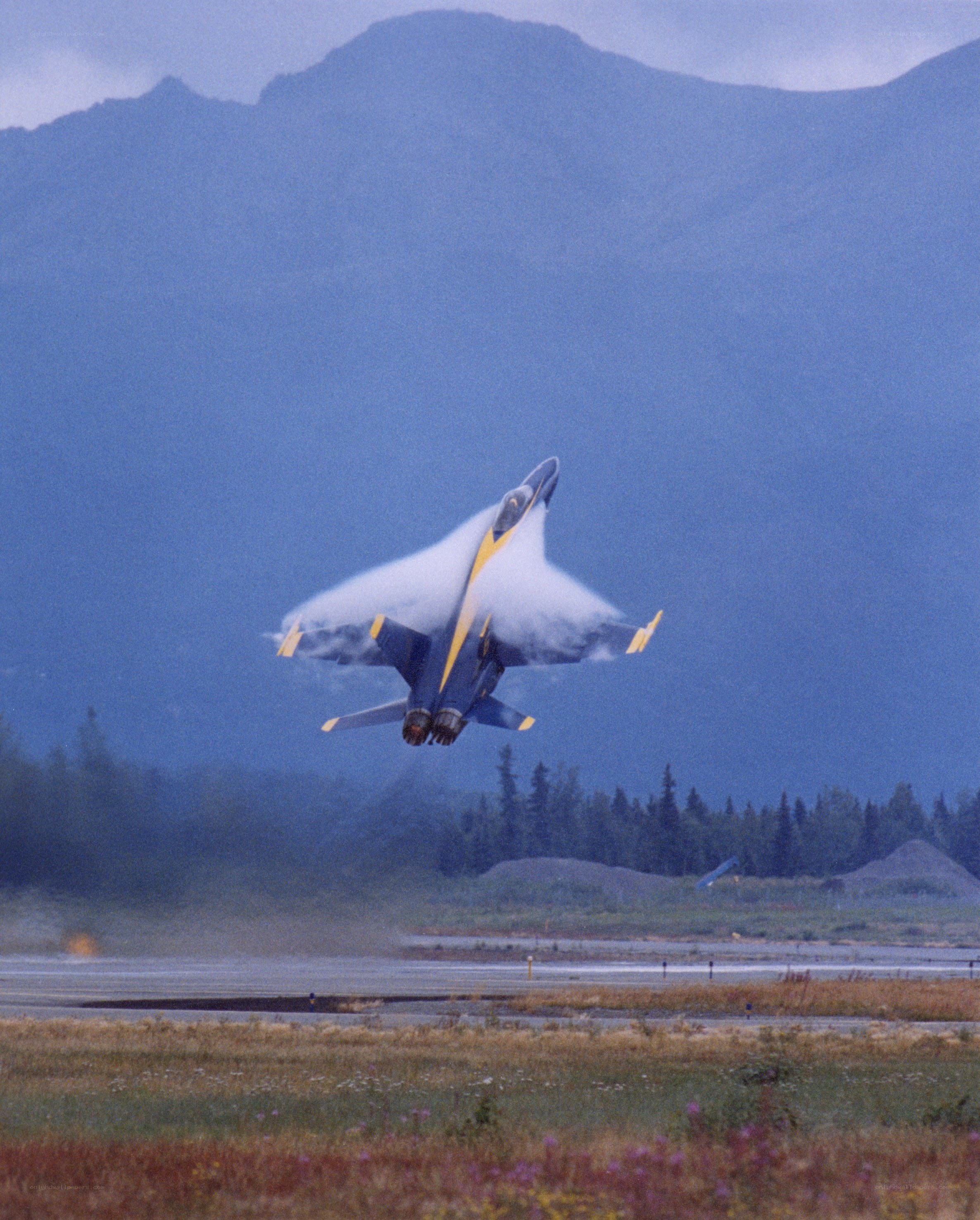 Blue Angels jet taking off