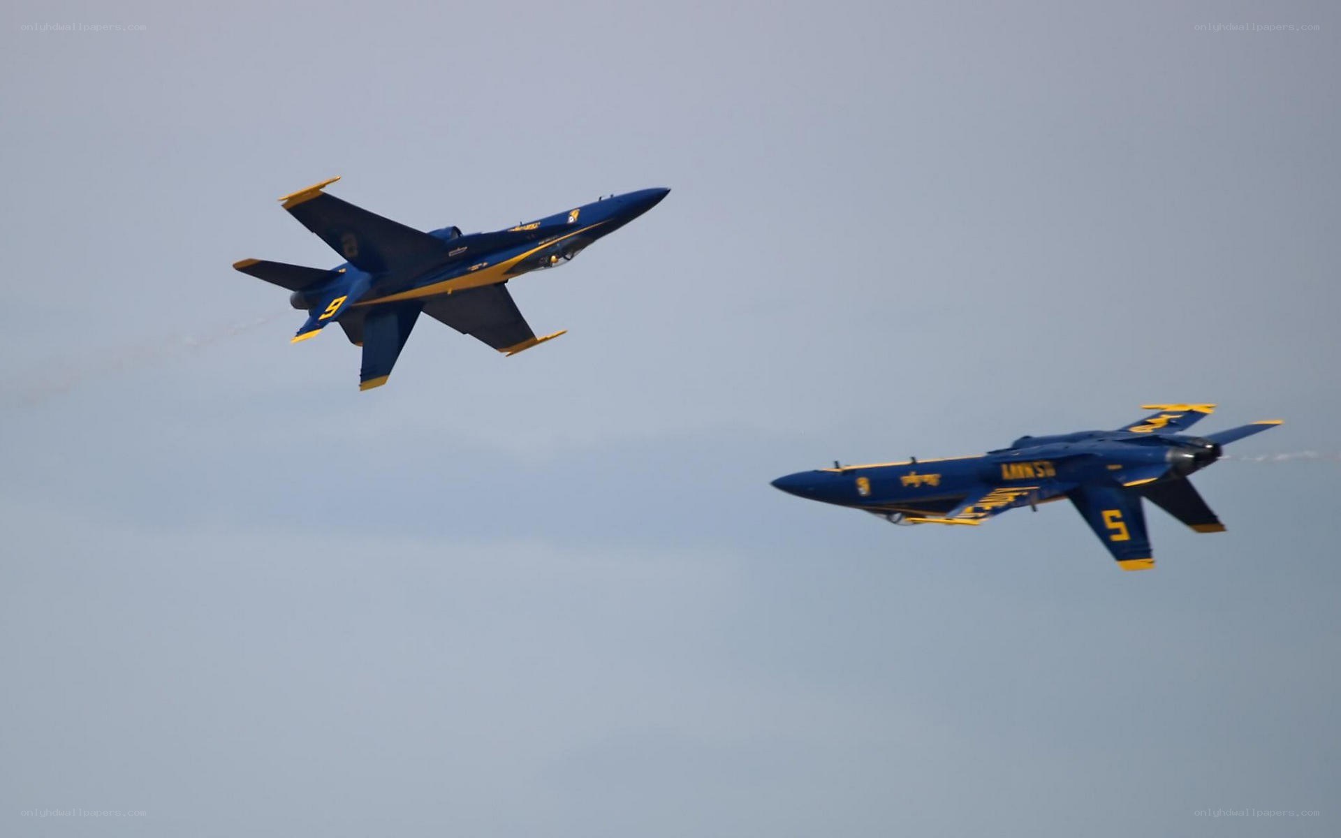 Blue Angels jets in formation