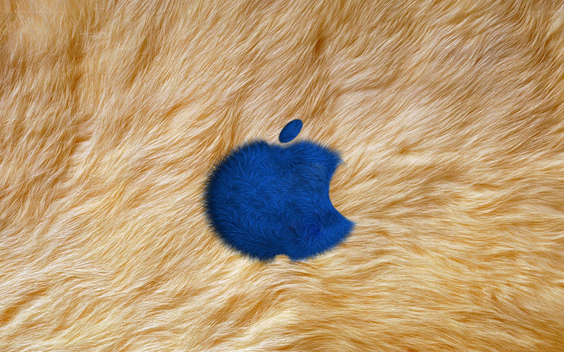 blue apple logo on fur