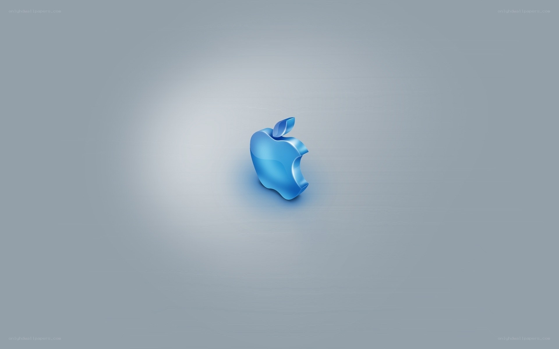 blue apple logo on gray