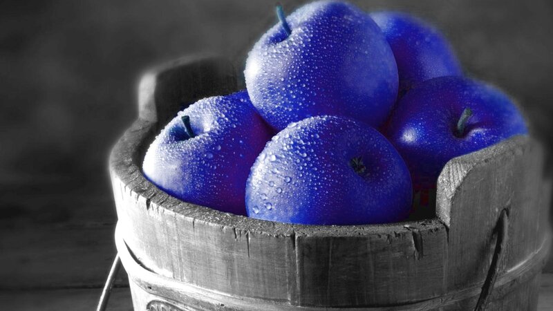 blue apples in a wooden bucket