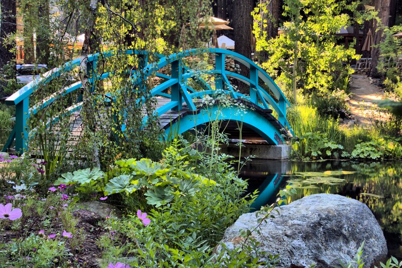 Blue Arched Bridge — Serene