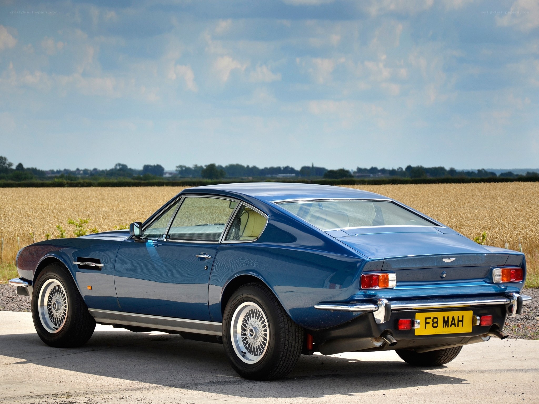 Blue Aston Martin in field