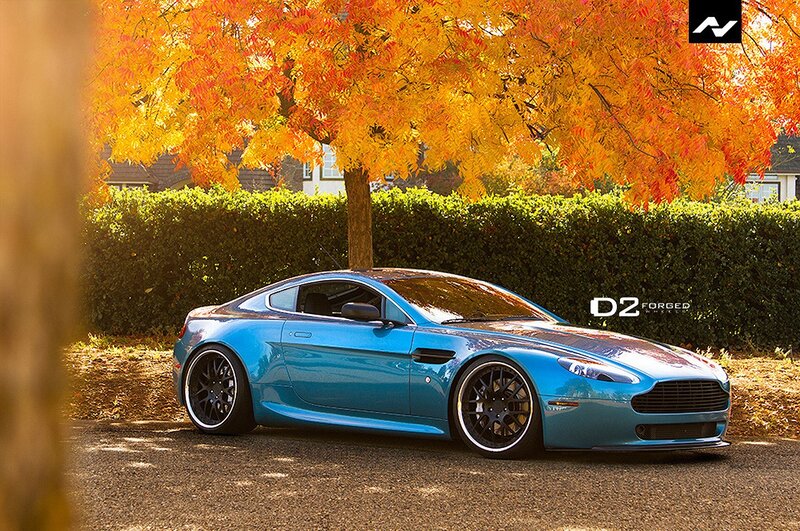 Blue Aston Martin under autumn tree