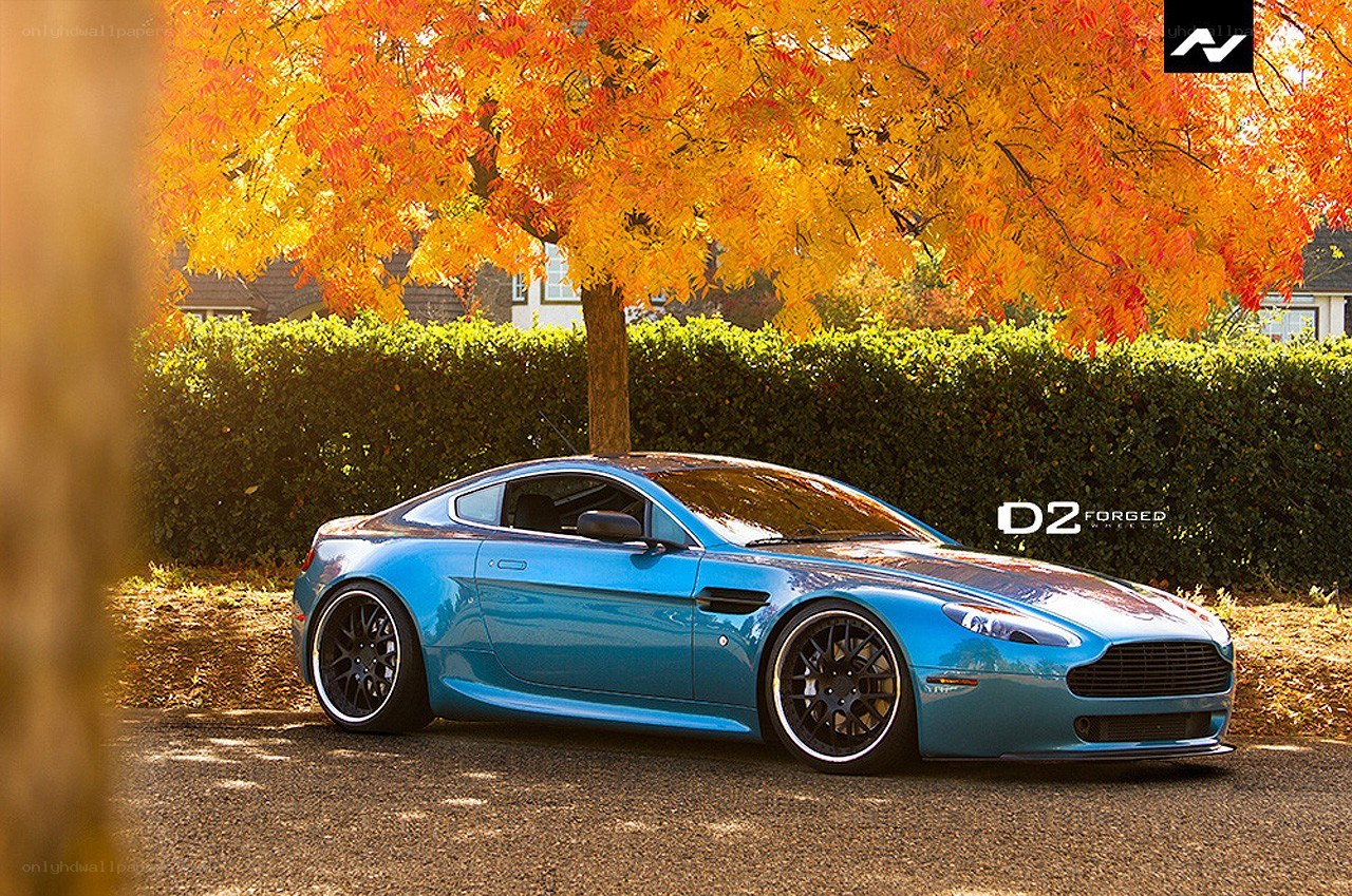 Blue Aston Martin under autumn tree