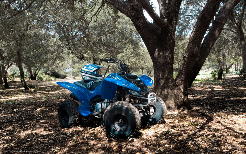 Blue ATV in forest
