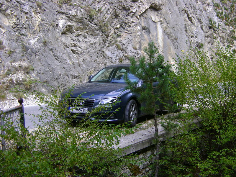Blue Audi Car — Green