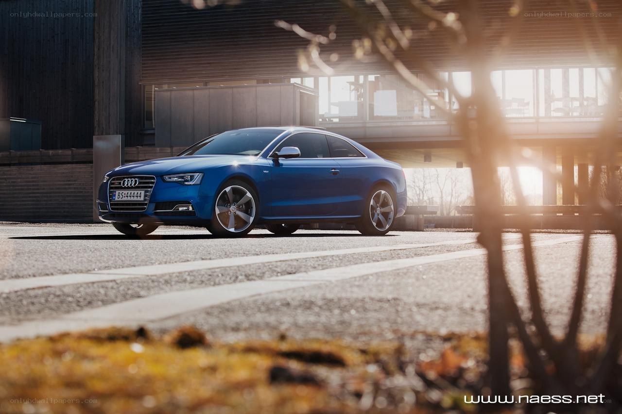 Blue Audi coupe in sunlight