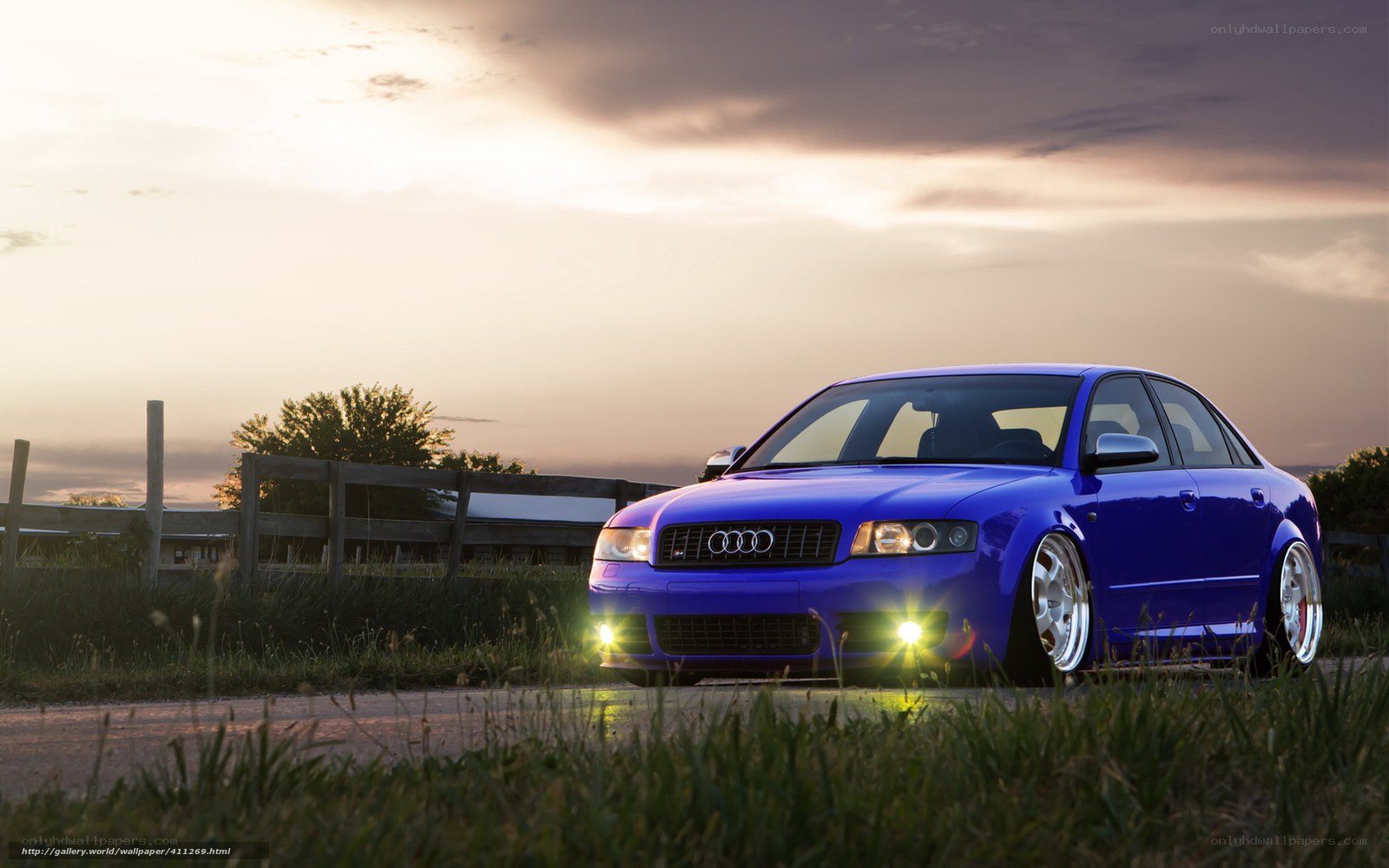 Blue Audi on country road