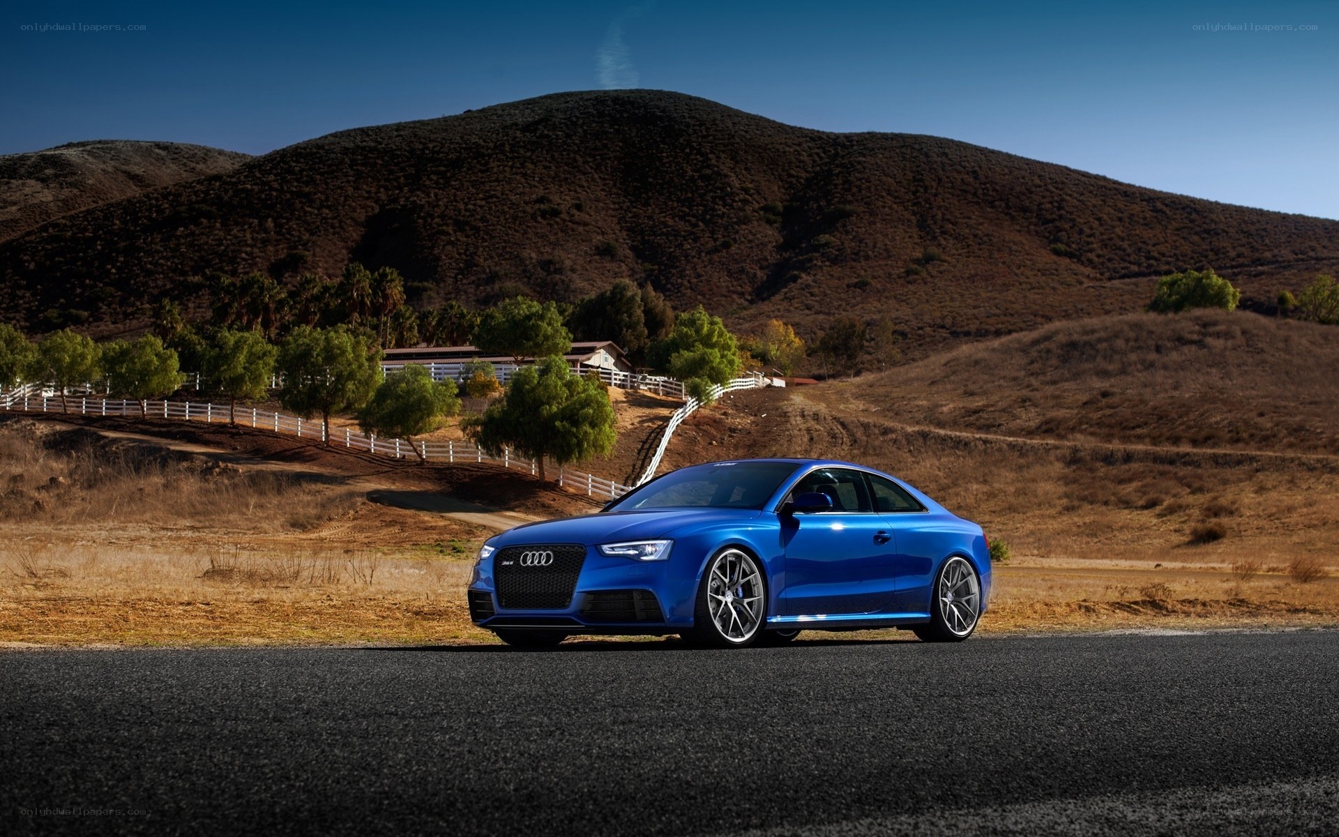 Blue Audi RS5 on a country road