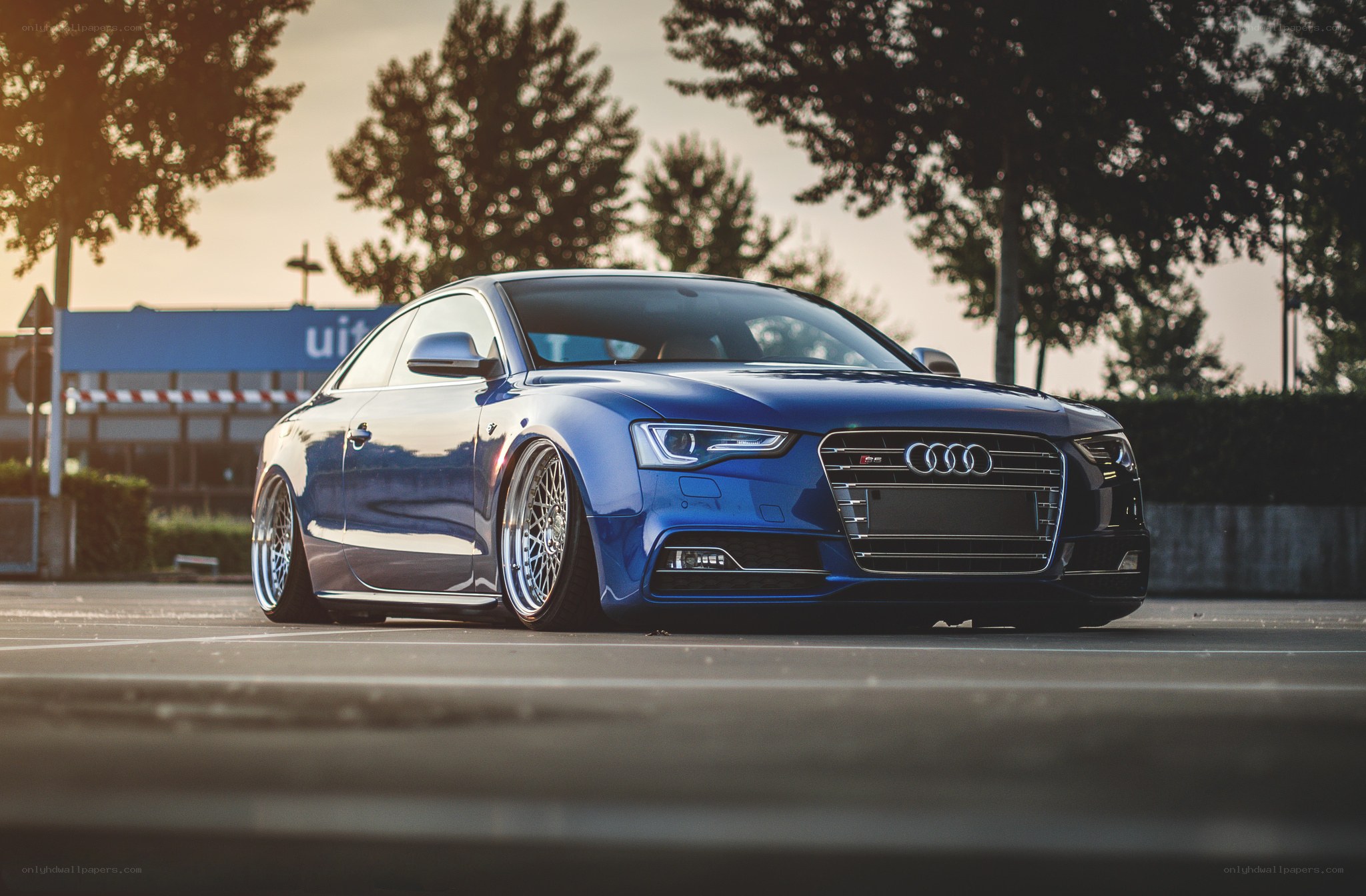 Blue Audi S5 on lowered suspension
