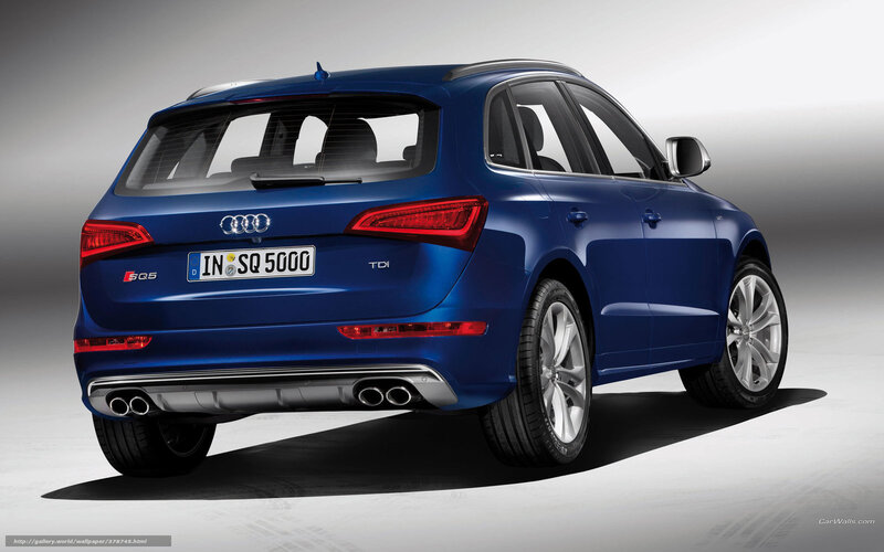 Blue Audi Sq5 Suv — Neutral, Photograph, Car, License Plate, Exhaust