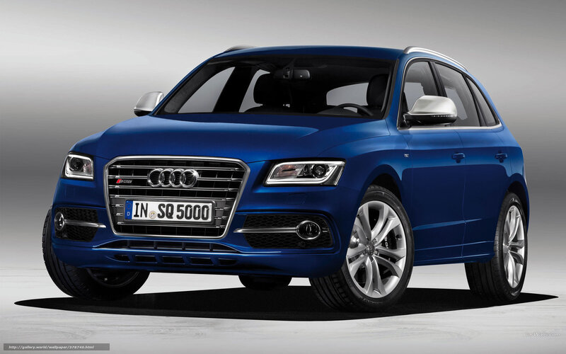Blue Audi Sq5 Suv — Neutral, Photograph, Car, License Plate, Wheels