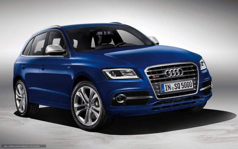 Blue Audi SQ5 SUV
