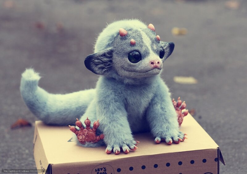 Blue Baby Dragon — Gray, Curious