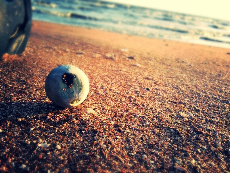 Blue Ball on Beach