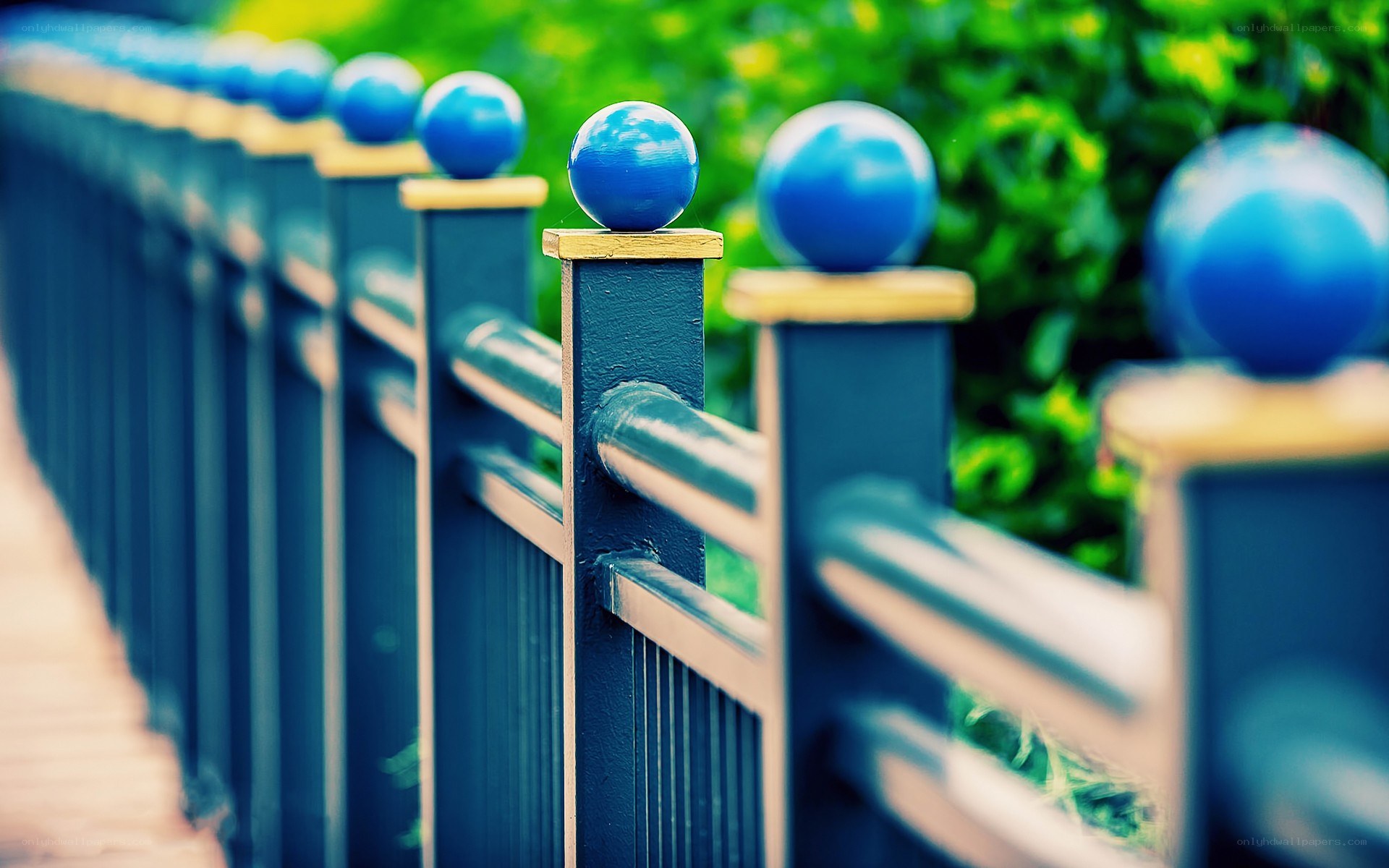 blue ball-topped fence