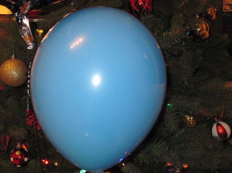 Blue Balloon on Tree