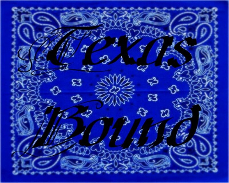 Blue Bandana with Text