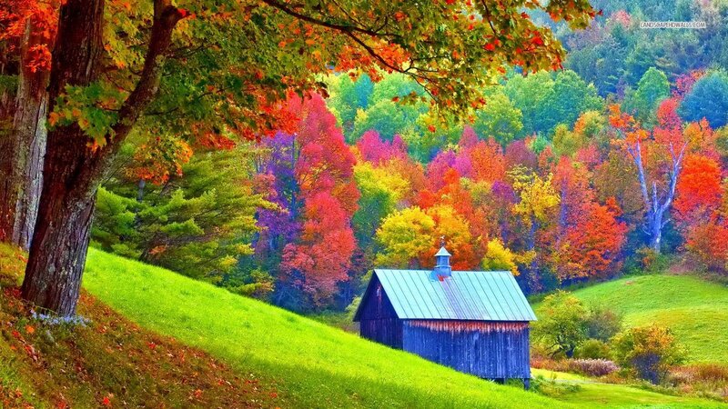 Blue Barn in Autumn — Green