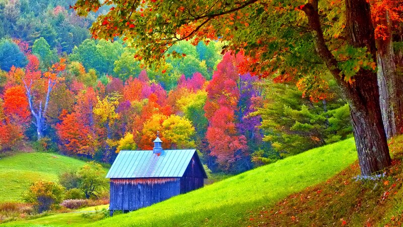 Blue Barn in Autumn