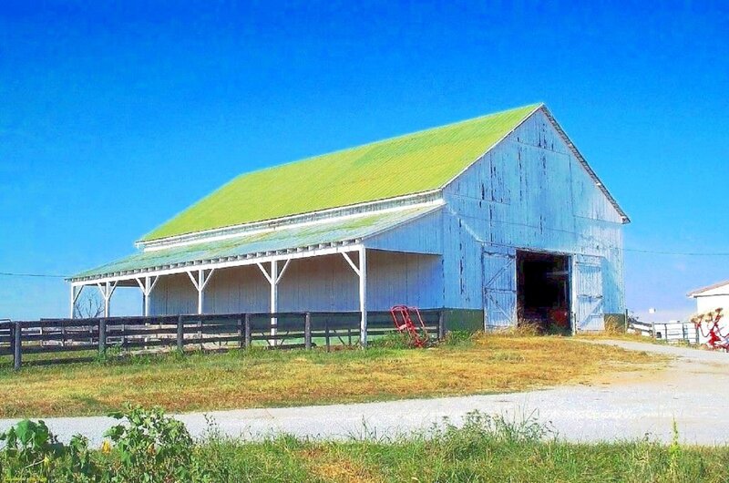 Blue Barn with Green Roof