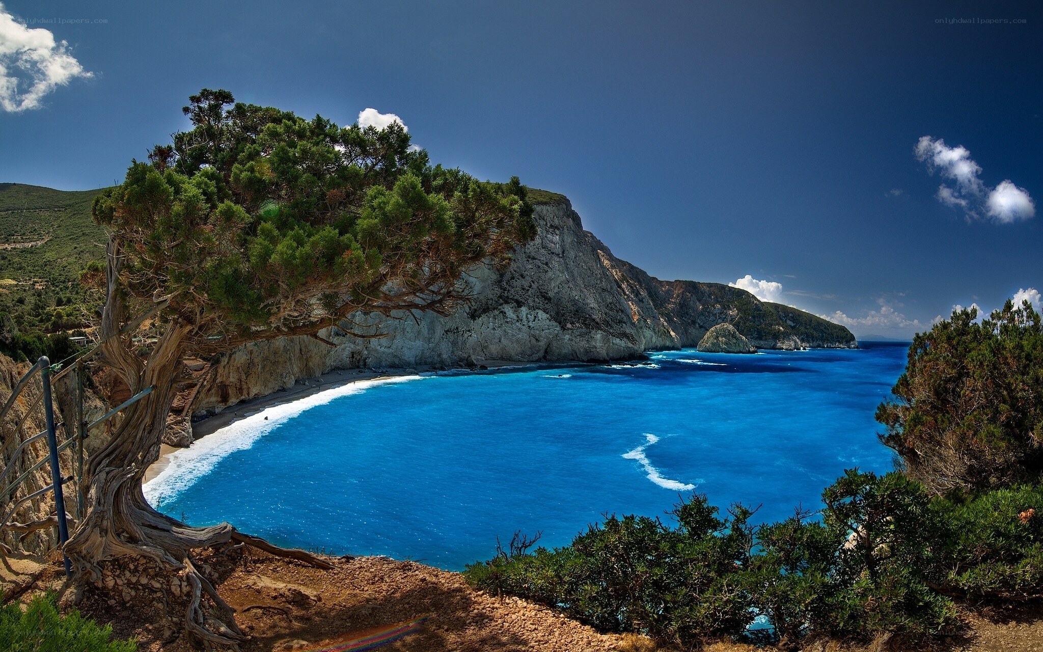 Blue Bay with Cliffs and Tree