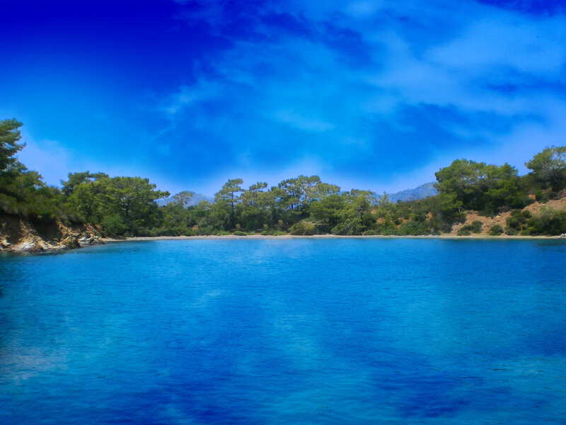 Blue bay with trees